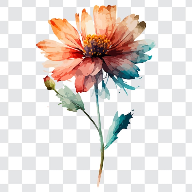 Vector a watercolor painting of a flower on a transparent background