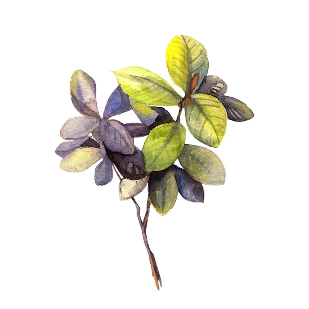 watercolor painting of leaves