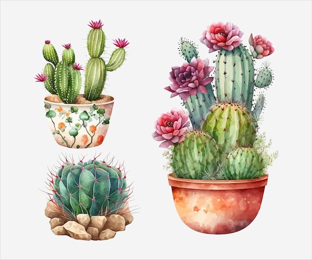 Watercolor painting of a set of cactuses with flowers and plants in pots