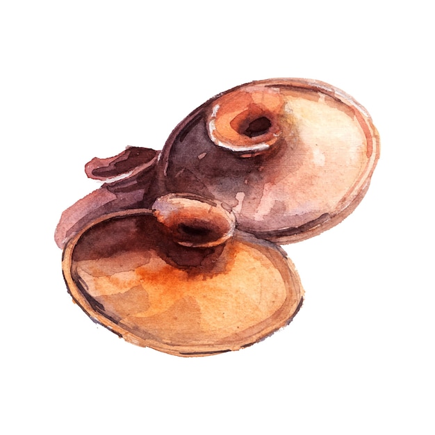 watercolor painting of soil earthenware lid