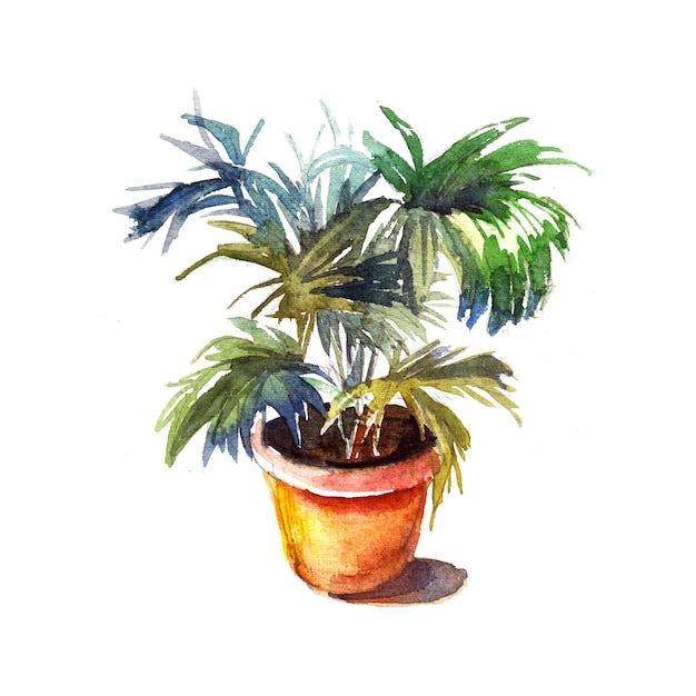 watercolor painting of soil potted vase with indoor tree