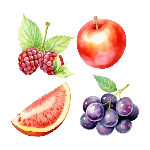 watercolor painting of summer fruits four collection