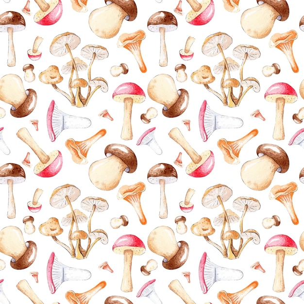 Watercolor pattern with mushrooms Boletus chanterelles honey agarics boletus boletusx9