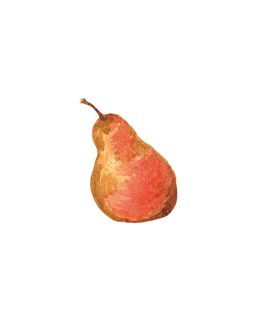 watercolor pear on a white background