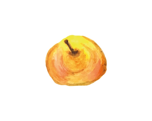 watercolor pear on a white background