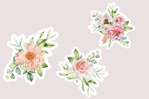 Vector watercolor peony sticker arrangement illustration design