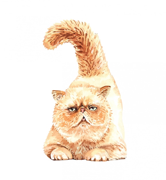 Watercolor persian cat.  Watercolor paint cat is teasing