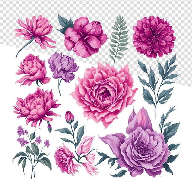 Watercolor Pink Flower Collection Vector Illustration of a Pink Rose for Stunning TShirt Prints