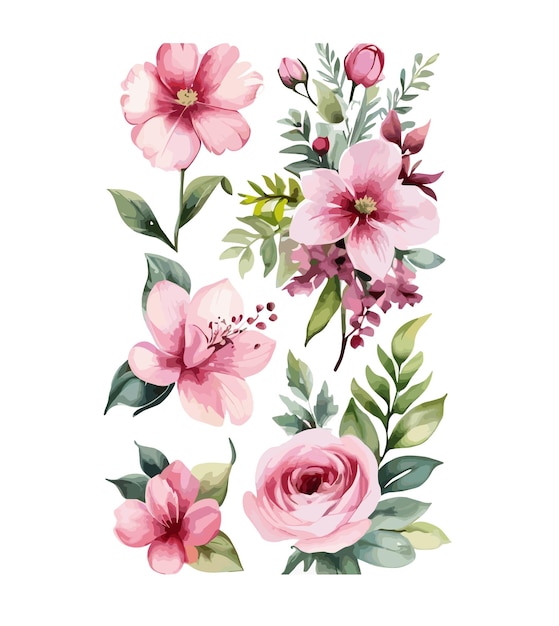 Watercolor pink flower collection