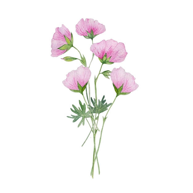 Watercolor pink flower gentle bouqet