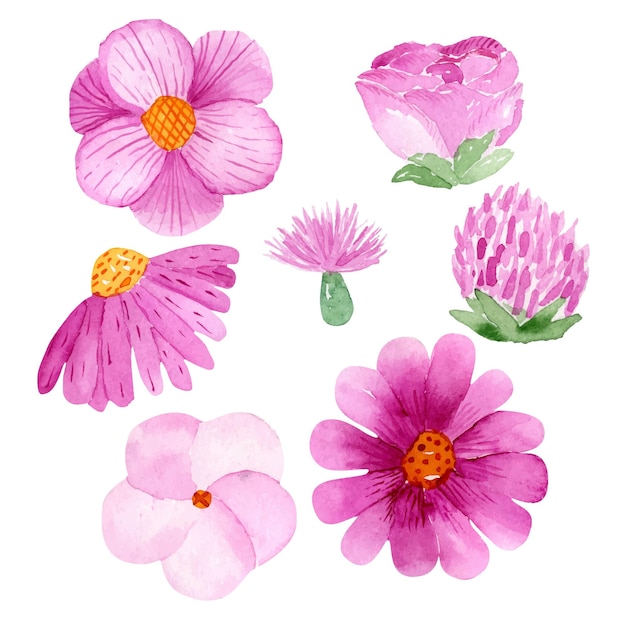 Watercolor pink flowers set Isolated illustration on white background Collection of flower heads