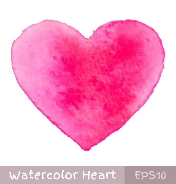 Watercolor pink heart, vector illustration.