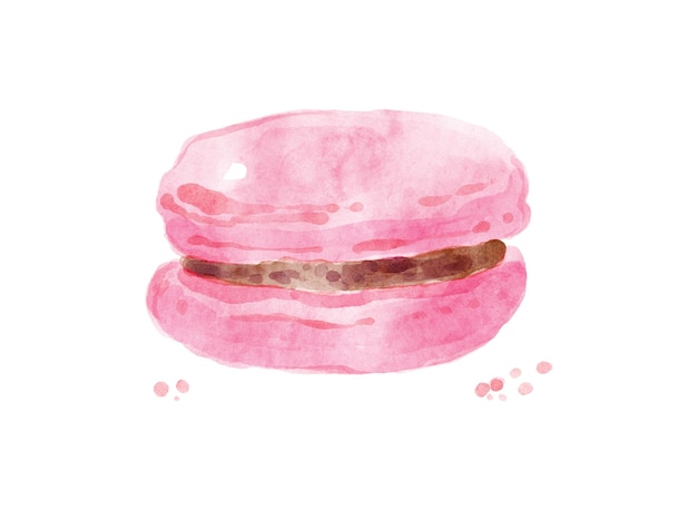 Watercolor pink macaroon