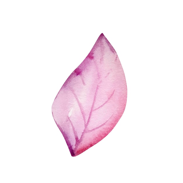 Watercolor pink purple leaf