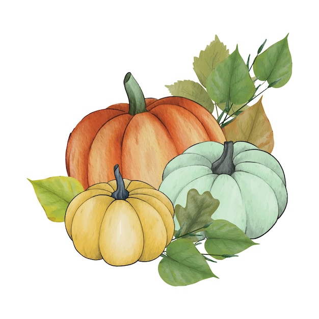 Watercolor pumpkin composition leaves pumpkin. Clip art autumn design elements.