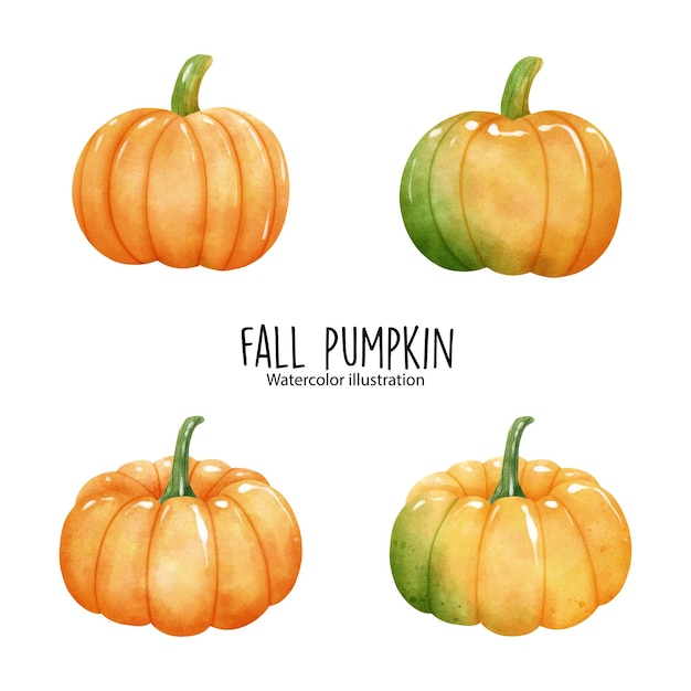 watercolor pumpkin, fall pumpkin. Vector illustration