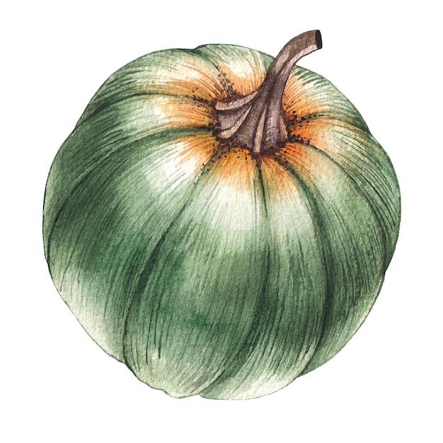 Watercolor pumpkin