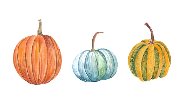 Watercolor Pumpkins