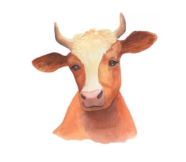 Watercolor realistic portrait of cow