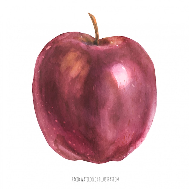 Watercolor red apple