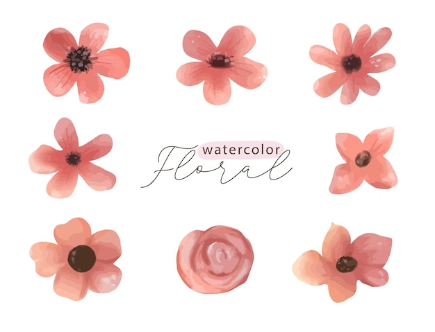 Watercolor red pink floral element set of wildflowers herbs leaf branches Isolated botanical