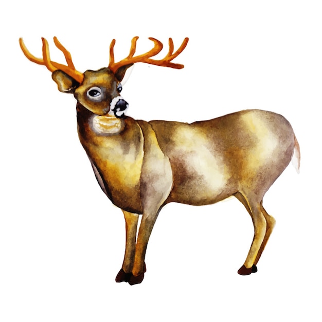 Watercolor Reindeer