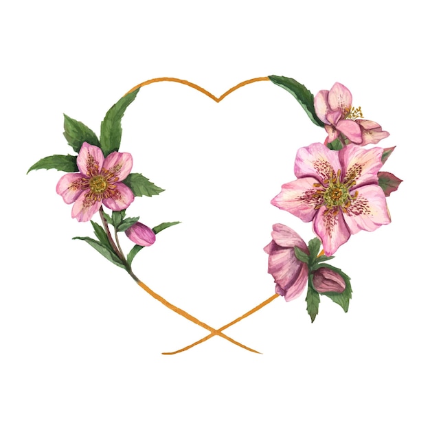 Vector watercolor romantic frame with heart and flowers pink hellebores cute valentines day wreath for your