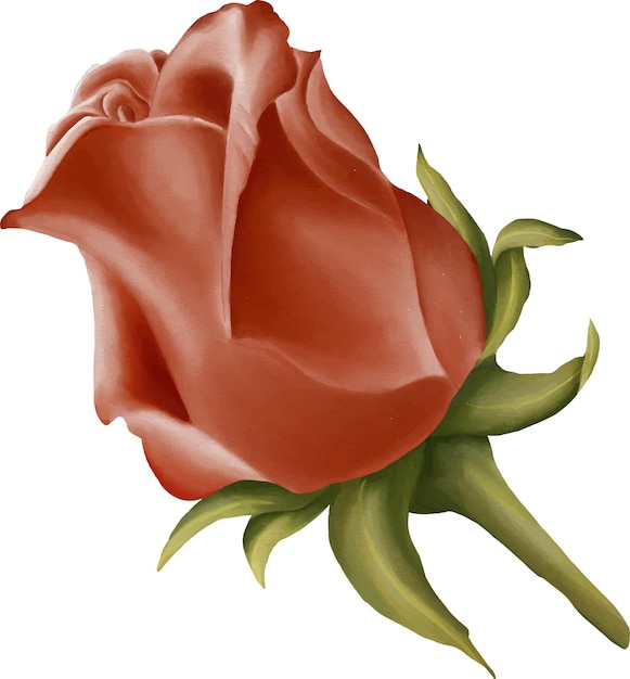 Watercolor Rosebud for Decoration