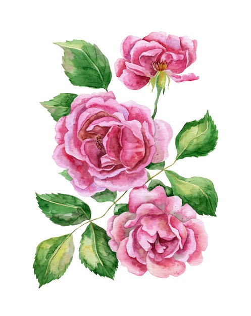 watercolor roses flower bouquet