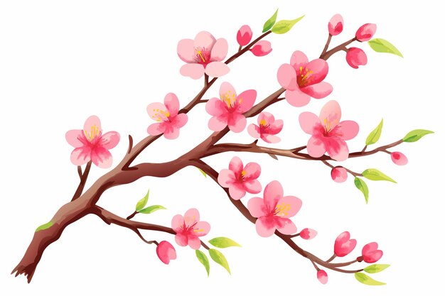 Vector watercolor sakura branch vector illustration on white background