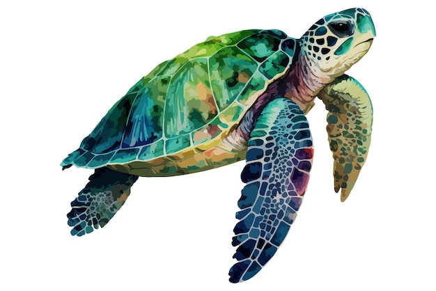 watercolor Sea Turtle vector illustration