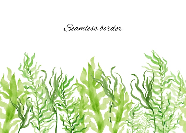 Watercolor seamless border with seaweed