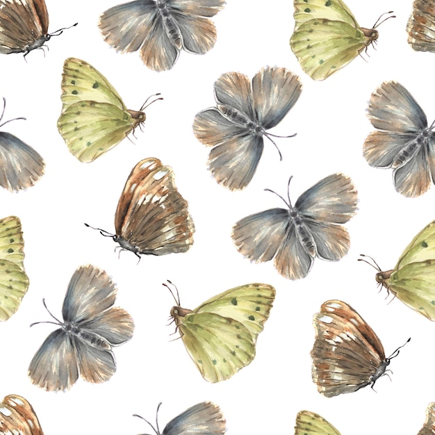 Watercolor seamless pattern with beautiful butterflies