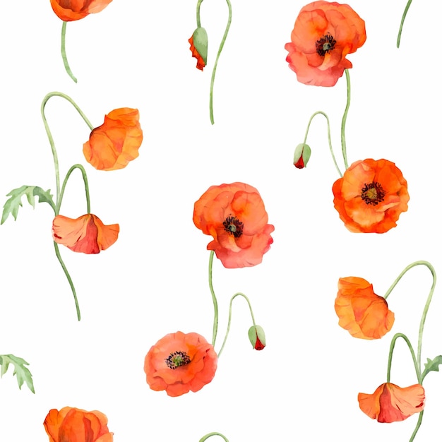 Watercolor seamless pattern with hand drawn summer bright red poppy flowers Isolated on white background Design for invitations wedding love or greeting cards paper print textile