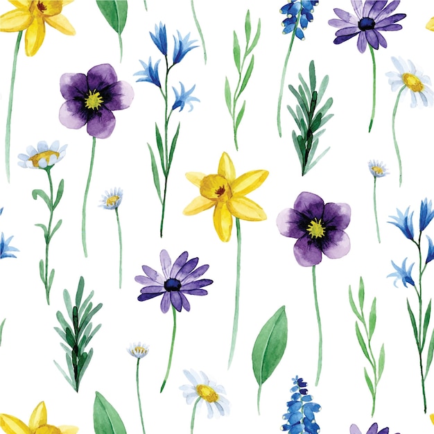 watercolor seamless pattern with wildflowers spring flowers on a white background.