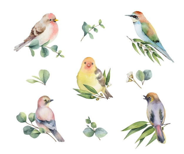 Vector watercolor set of birds with flowers