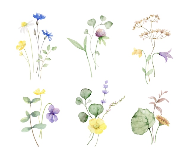 Watercolor set of bouquets of meadow flowers and leaves