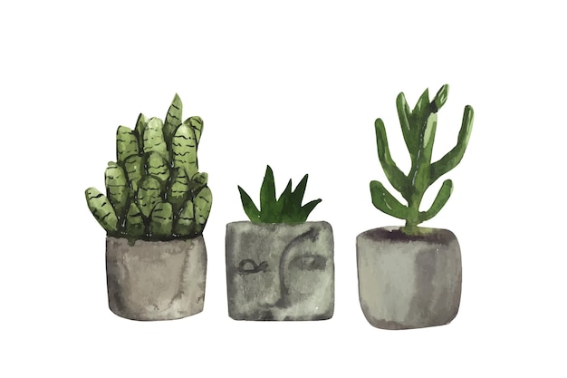 Watercolor set of cactus compositions