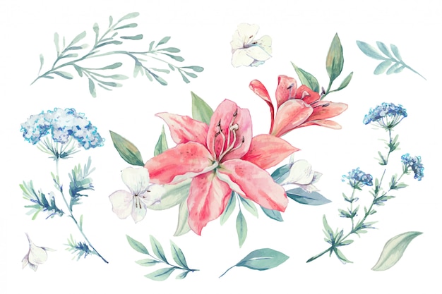 Watercolor set of lilies, buds and leaves. 