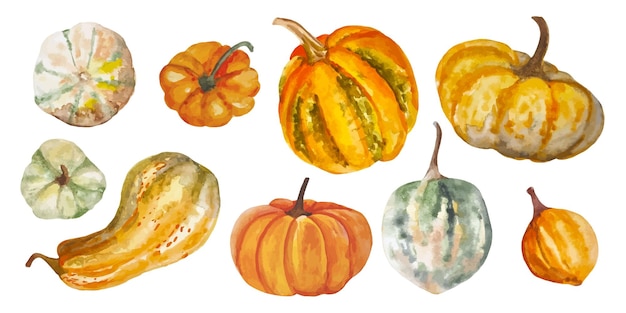 Watercolor set pumpkins hand drawn on the isolated background