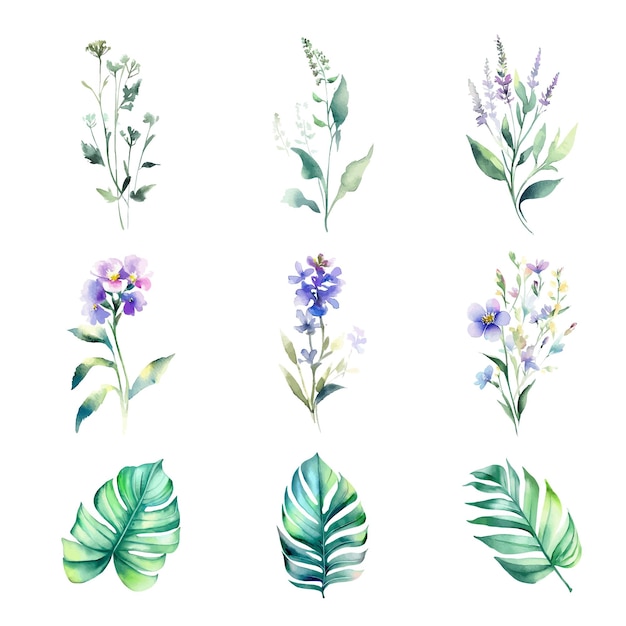 Watercolor set of wild flowers leaves and herbs Hand painted illustration isolated on white backgr