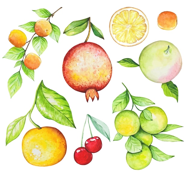 Watercolor set with fruits peaches pomegranate oranges apple cherry