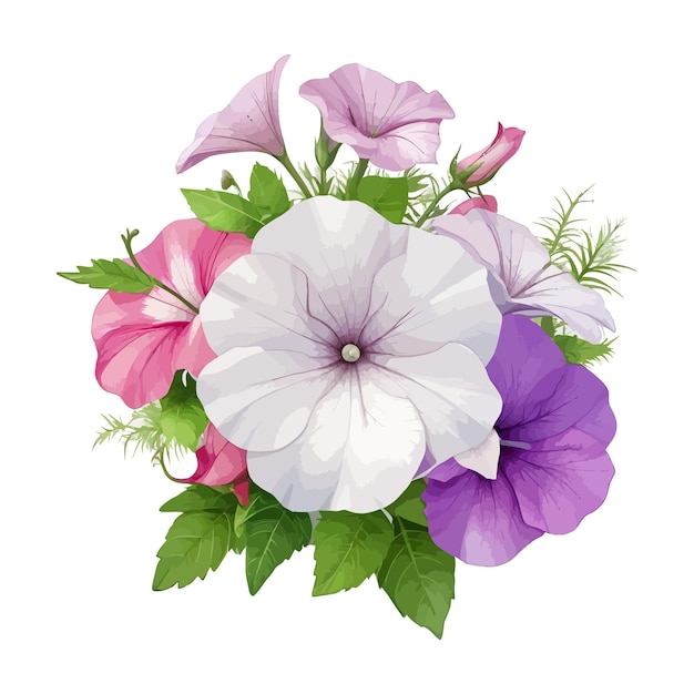 Watercolor spreading petunias clipart editable white background