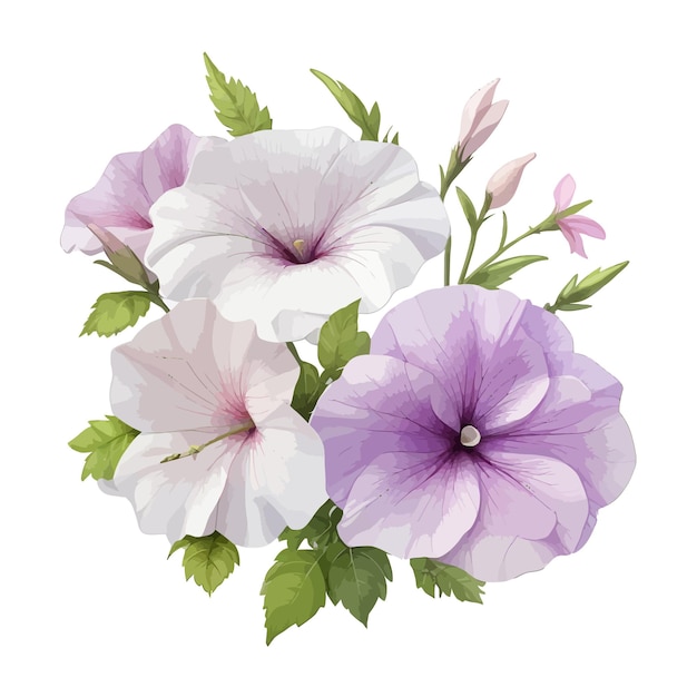 Watercolor spreading petunias clipart editable white background