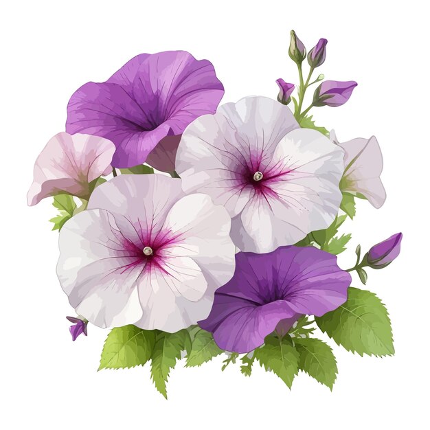 Watercolor spreading petunias clipart editable white background