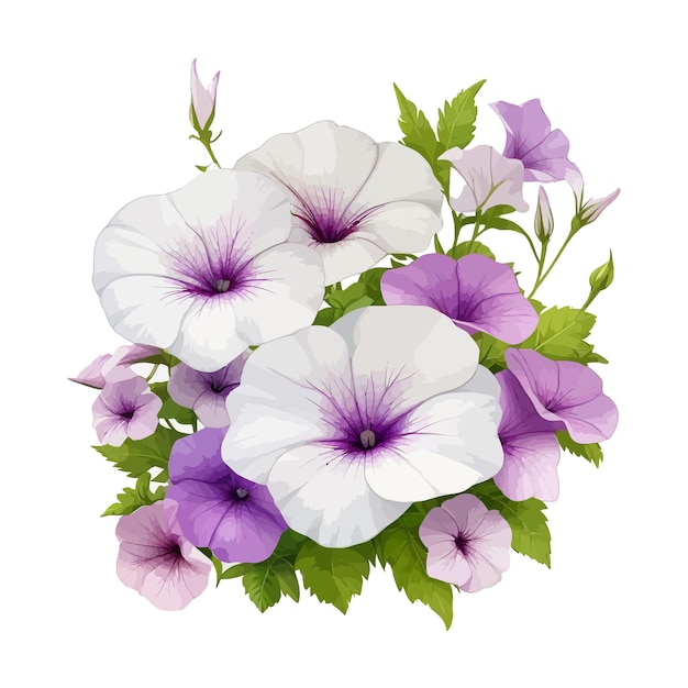 Watercolor spreading petunias clipart editable white background