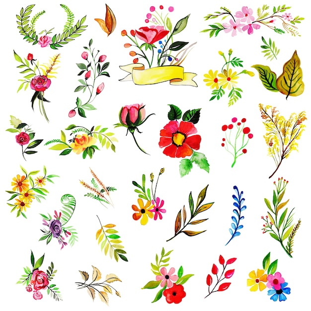 Watercolor Spring Floral and Leaves Collection