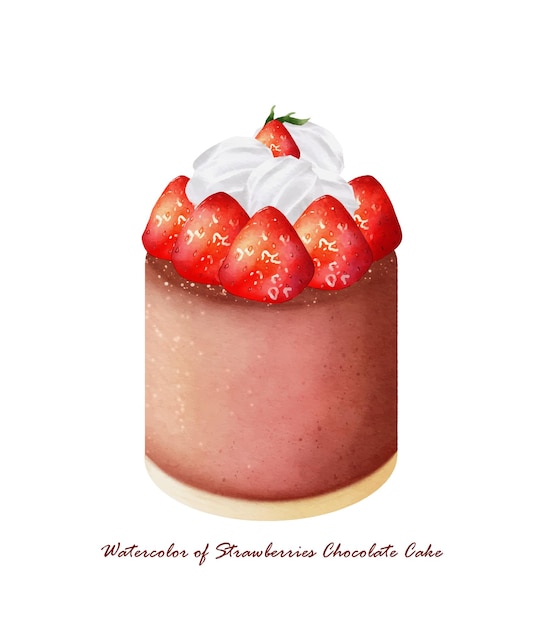 Watercolor of strawberries chocolate cake vector background design