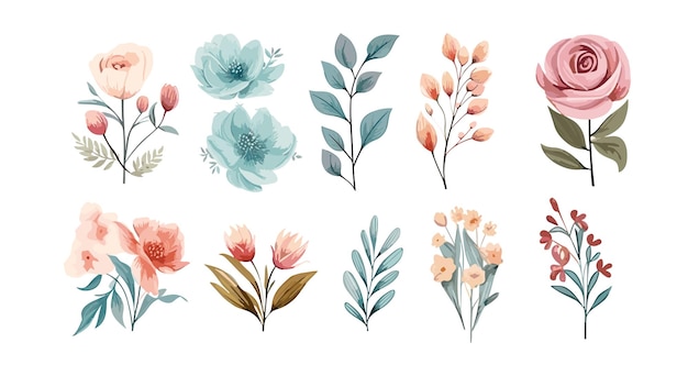 Watercolor style floral bouquet collection Beautiful flower collection