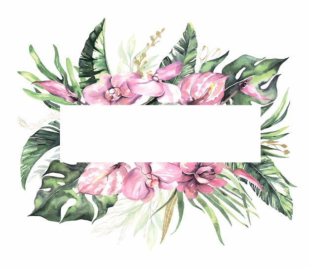 watercolor summer floral frames